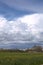 Rapeseed field and impressive cloudscape near Greifswald, Germany