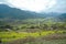 Rapeseed field-Jiangling, Wuyuan, Jiangxi