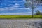 a rapeseed field near Berlin