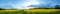 Rapeseed Field Panorama