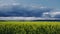 Rapeseed Field with Stormy Clouds in the Countryside Time Lapse