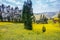 Rapeseed fields blooming yellow in Yunnan, China