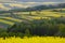 Rapeseed fields create beautiful geometric patterns