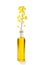 Rapeseed flower and canola oil in a bottle