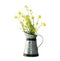 Rapeseed flower in a pitcher