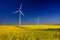 Rapeseed flowers and the background wind turbines