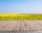 Rapeseed flowers were yellowing the fields