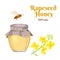 Rapeseed honey in glass jar isolated on white background.Vector illustration of sweet honey, flowering canola branch and bee