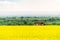 Rapeseed landscape with old rustic house
