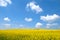 Rapeseed meadows, spring sky in the plain, yellow with blue landscape
