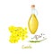 Rapeseed oil in bottle, canola blossom flowers and seeds and leaf. Card template text. Flowering colza. Brassica napus