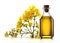 rapeseed oil bottle insulated on a white background