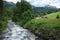 Rapid Alpine stream in Les Diablerets Switzerland