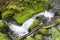 Rapid brook running in the trail of the Mount Carleton, where the ground is covered by moss and grass