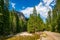 Rapid creek and roadway to famous Chocholowska Clearing, Tatra Mountains, Poland