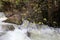 Rapid flow of rainwater in the river Banias