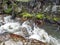 The rapid flow of the river in the forest. Wild creek with turbulent water. The rapid river between rocks and forest in Patagonia