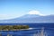 Rapid Flowing Fuji River with Mountain Fuji in the Background.