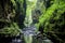 rapid jungle river flowing through a deep forested canyon