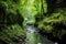 rapid jungle river flowing through a deep forested canyon