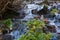 Rapid Mountain Creek and Frozen Icicles