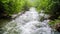 Rapid Mountain River Flowing Down In Fresh Green