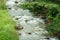 The rapid and powerful flow of water in the river