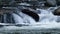 Rapid river rushing over large boulders flowing through a forest