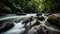 Rapid Rush - Freshwater Rapids in a Rainforest