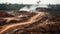 rapid and unprecedented destruction of the Amazon rainforest due to logging and human activity