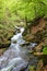 Rapid water stream in the forest