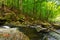 Rapid water stream in the park