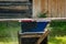 A rapidly spinning circular saw blade on the desktop cuts a pine Board with chips and sawdust flying in all directions