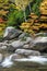 Rapids and fall color on the Swift River