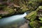 Rapids flowing along lush forest