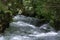 Rapids flowing into Okere falls, Rotorua, New Zealand