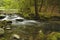 Rapids on Laurel creek, GSMNP