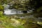 Rapids on Laurel creek, GSMNP