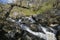 Rapids on the Marteg River