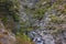 Rapids in Native Bush mountain stream