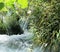 Rapids  near the Skradinski buck waterfall  in N.P Krka, Croatia