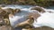 Rapids on the Rio Celeste