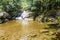 Rapids of Rio Hornito river and a jungle in Pana