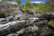 Rapids on River Tywi