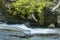 Rapids of Swiftwater Falls with moss and ferns in Franconia Notch.