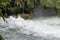 Rapids water at Okere falls, Rotorua, New Zealand