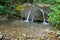 Rapids and waterfalls on the river East Ulu-Uzen in the gorge ha