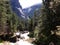 Rapids, wild water creek - Yosemite US National Park