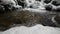 Rapids in a winter river through a snow-covered rock with ice and snow. Frosty river in a pine forest. Pure crystal