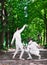 Rapier fencers women fencing over park alley